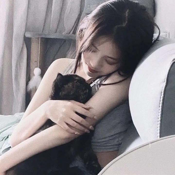 群鸟东径